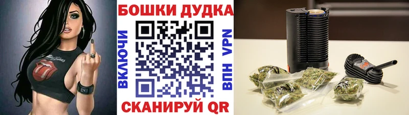 Виды наркотиков купить Кола МЕТАМФЕТАМИН  Псилоцибиновые грибы  Меф  Гашиш 
