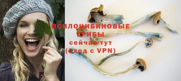 спиды Карталы