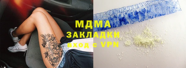 индика Козельск