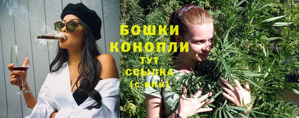 круглые Карпинск