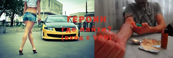 индика Козельск