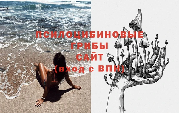 не бодяженный Киренск