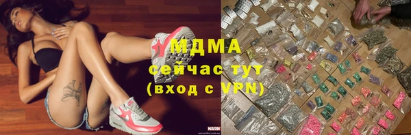 индика Козельск