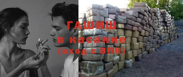 индика Козельск